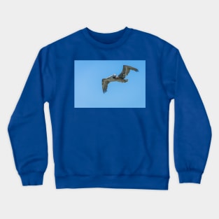 Brown Pelican In Flight at Aruba Crewneck Sweatshirt